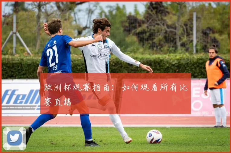 欧洲杯观赛指南:如何观看所有比赛直播