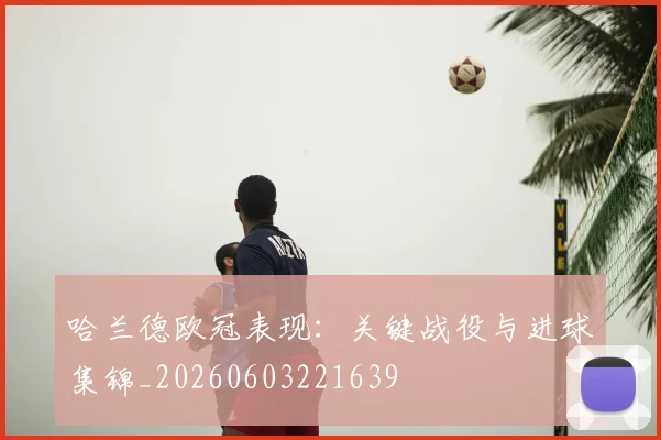 哈兰德欧冠表现：关键战役与进球集锦_20260603221639