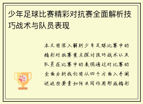 少年足球比赛精彩对抗赛全面解析技巧战术与队员表现