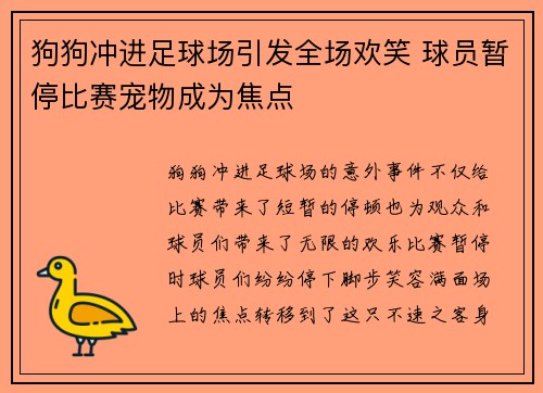 狗狗冲进足球场引发全场欢笑 球员暂停比赛宠物成为焦点