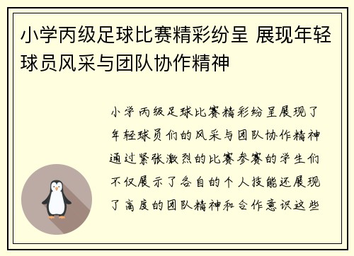 小学丙级足球比赛精彩纷呈 展现年轻球员风采与团队协作精神