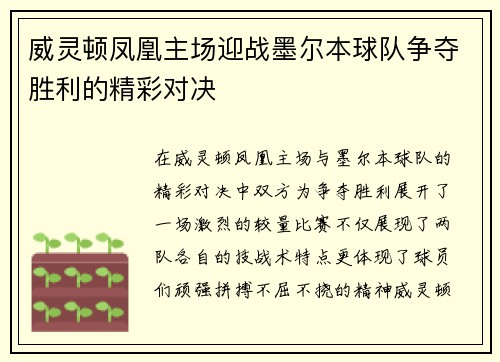 威灵顿凤凰主场迎战墨尔本球队争夺胜利的精彩对决