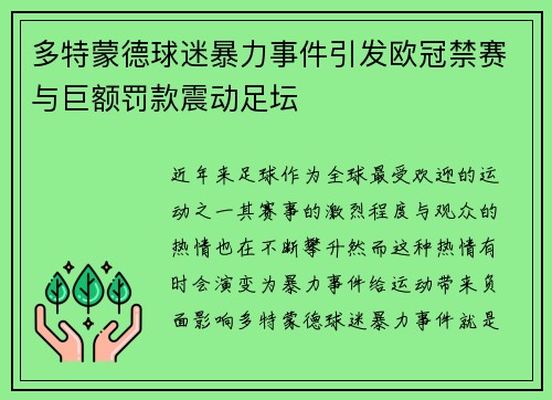 多特蒙德球迷暴力事件引发欧冠禁赛与巨额罚款震动足坛