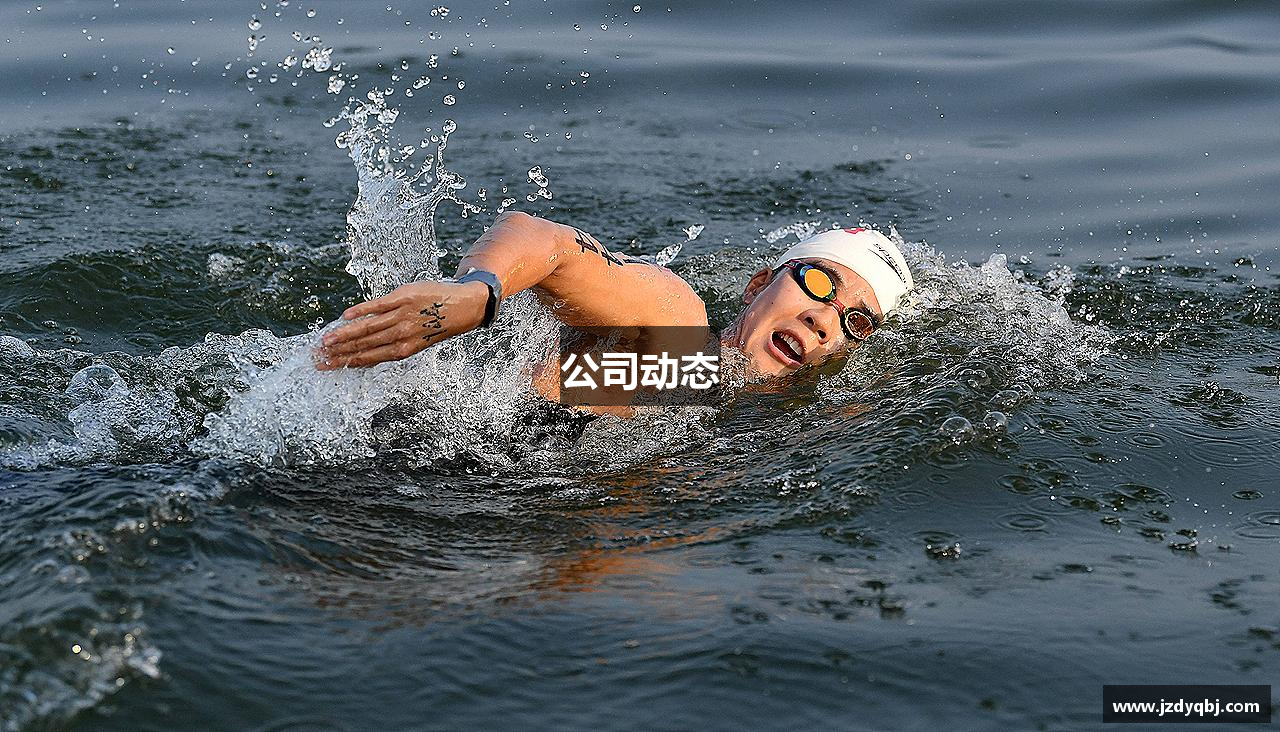 公司动态