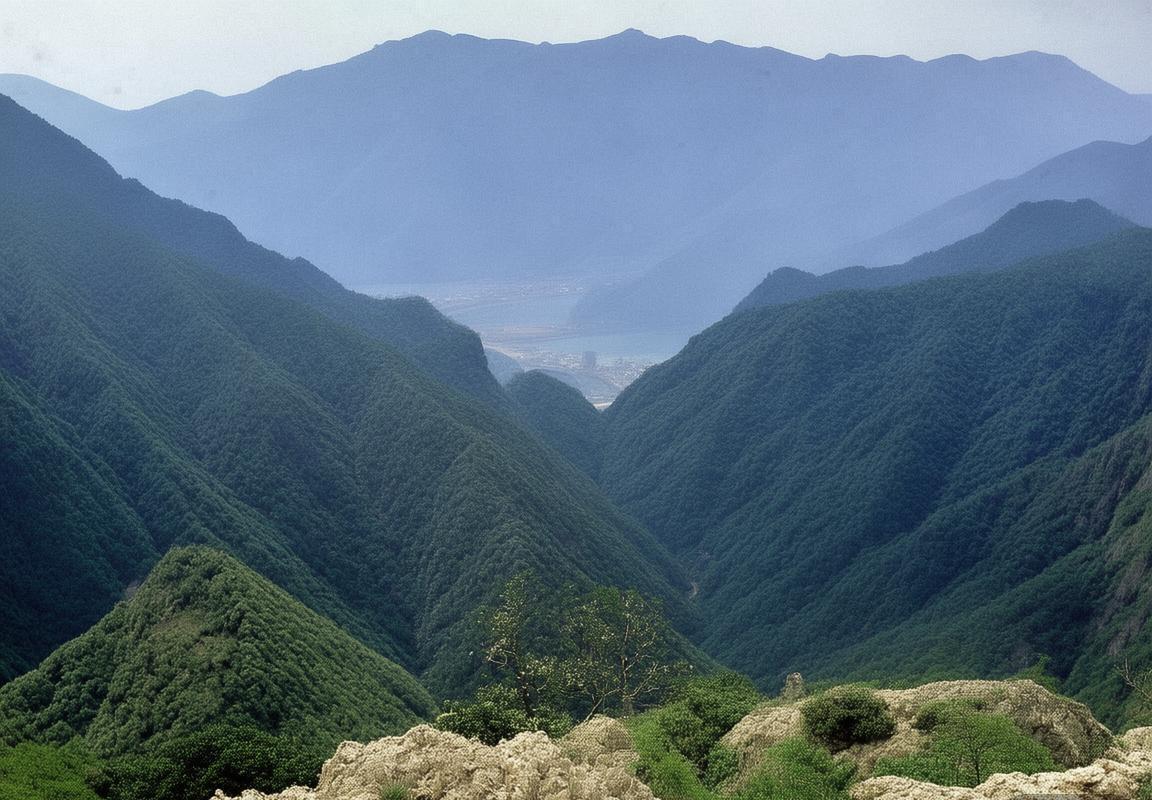 女子国际邀请赛“女王之冠”2025赛季奖金翻倍